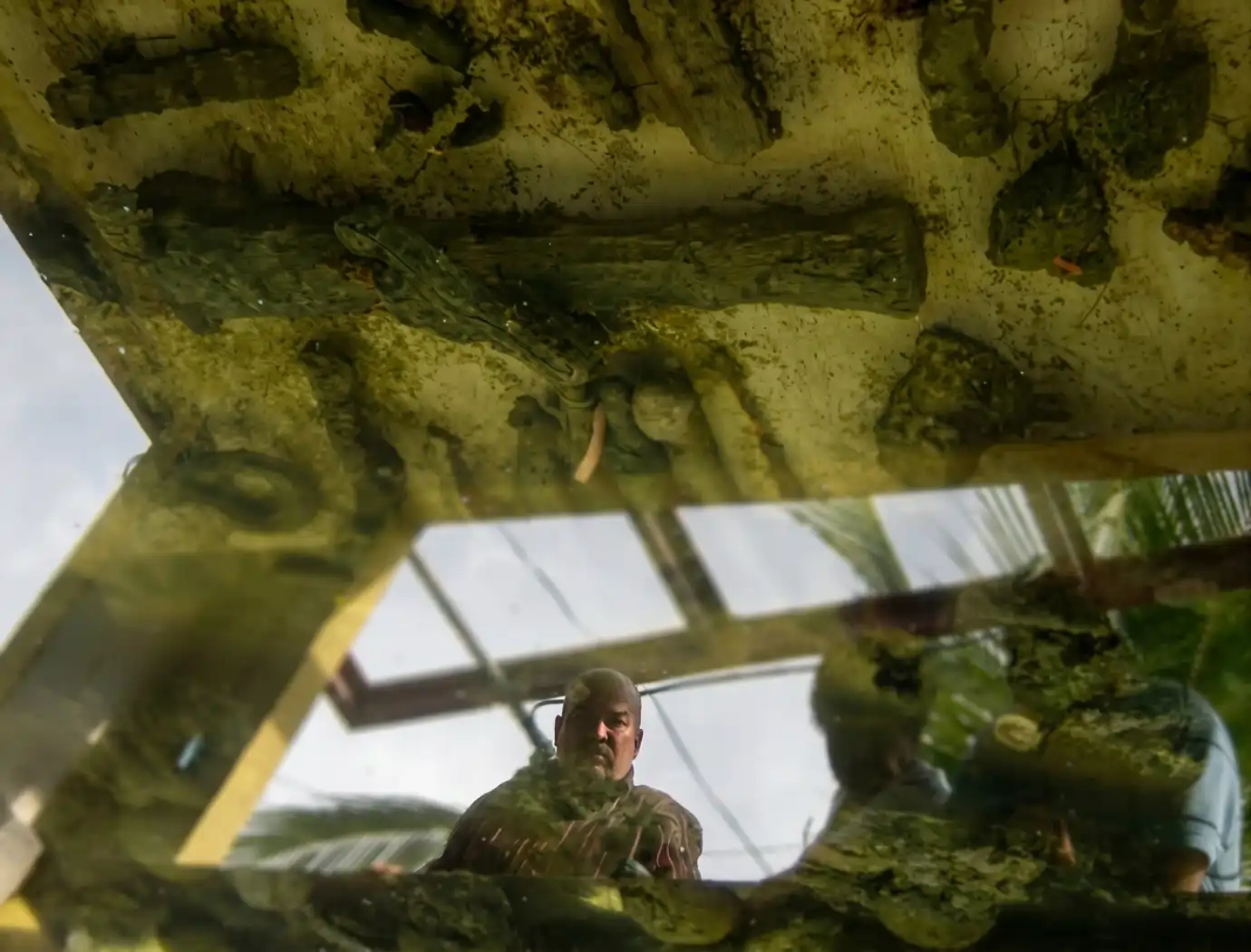 Luis Manuel Almeida examinando artefactos subacuáticos con reflejo visible en el agua